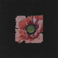 Poppy Kit