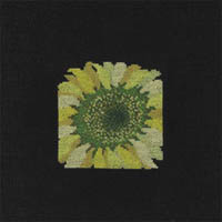 Sunflower Kit
