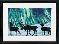 Reindeer in Northern Lights Kit