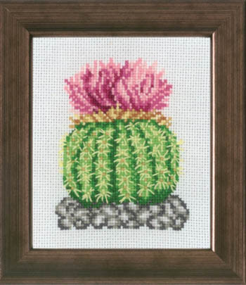 Cactus with Rosa Kit