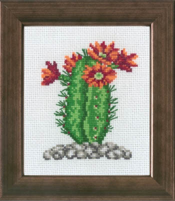 Cactus with Orange Kit
