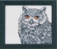Owl Kit