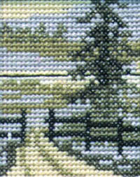 Spruce Kit