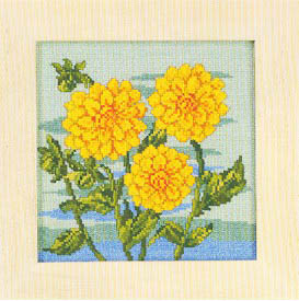 Chrysanthemum