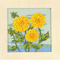 Chrysanthemum