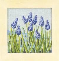 Blue Flowers
