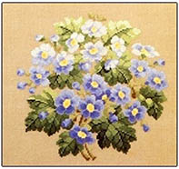 Blue Spring Flowers