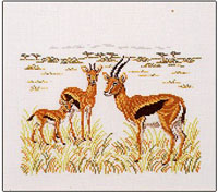 Gazelles