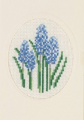 Hyacinth Card Kit