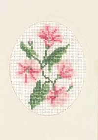 Bindweed Card Kit