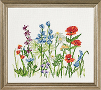 Field Flowers Kit