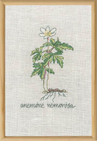 White Anemones Kit