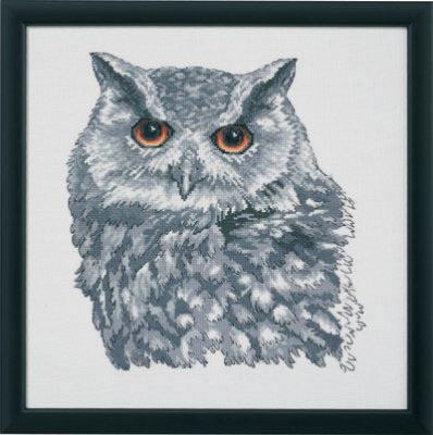 Owl in Grey Kit