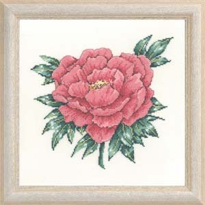 Old Rose Peony Kit