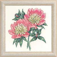 Two Peonies Kit