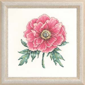 Rose Peony Kit