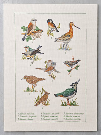 Field Birds Kit