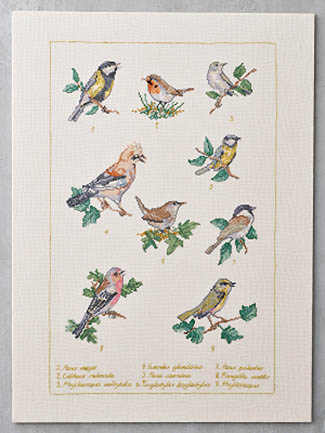 Forest Birds Kit