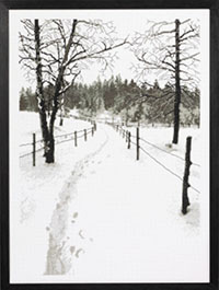 Monochrome Landscape Kit