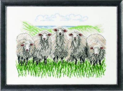 Sheep Kit