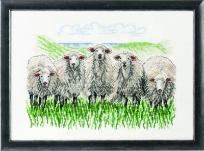 Sheep Kit