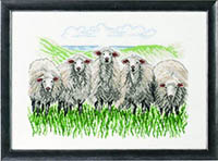 Sheep Kit
