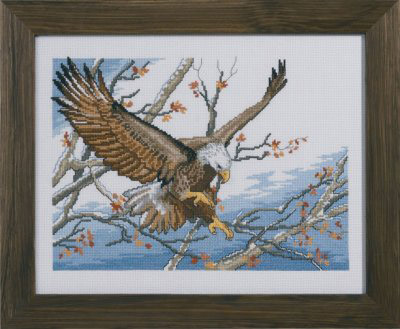Eagle Kit