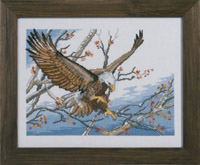 Eagle Kit