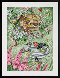 Birds in Garden Kit