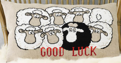 Good Luck Cushion Kit