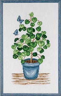 Pilea on Wood Floor Kit
