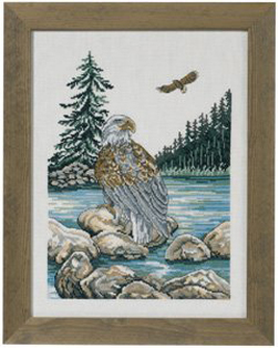 Eagle Kit