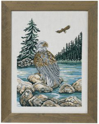 Eagle Kit