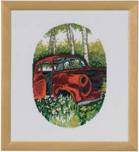 Renault Car in Forest Kit