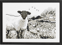 Sheep Kit