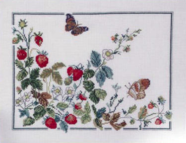 Butterfly and Strawberries Kit