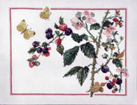 Butterfly and Blackberries Kit