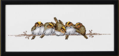 Goldencrested Wren Kit