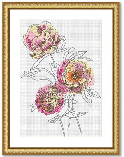 Peonies