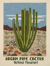 Organ Pipe Cactus Kit