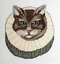Cat in the Ruff Kit
