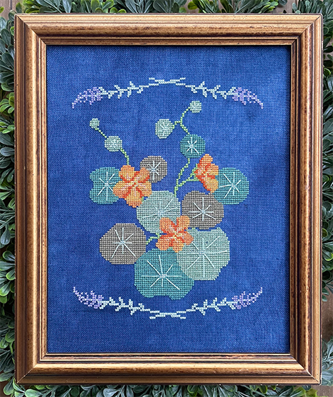 Botonical Study No 3: Nasturtiums