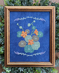 Botonical Study No 3: Nasturtiums