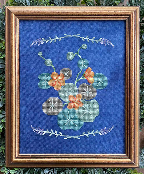 Botanical Study Number 3 - Nasturtiums