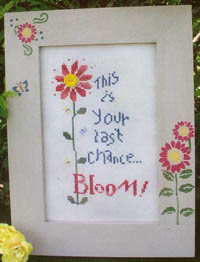 Last Change - Bloom