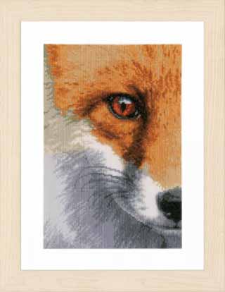 Fox Kit