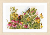 Butterflies and Coneflowers Kit