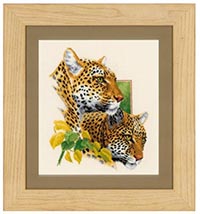 Leopard Couple Kit