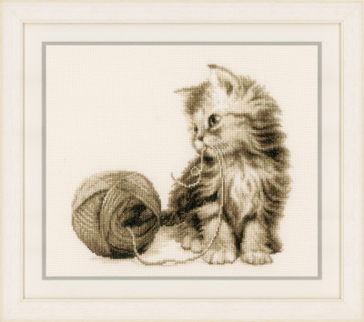 Kitten Kit