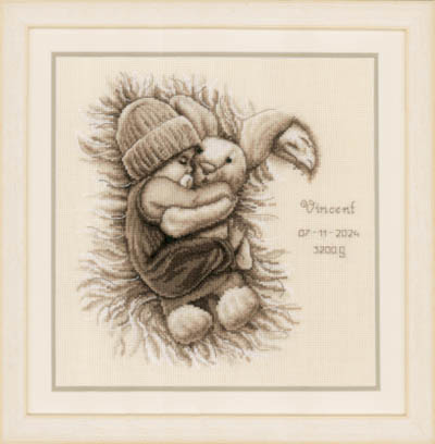 Baby with Cuddly Bunny Birth Announcement Kit